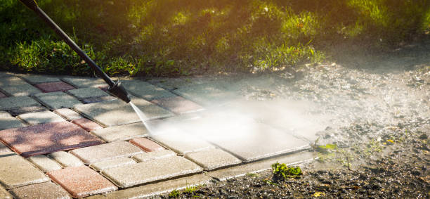 Best Soft Washing  in Rk Forest Village, PA